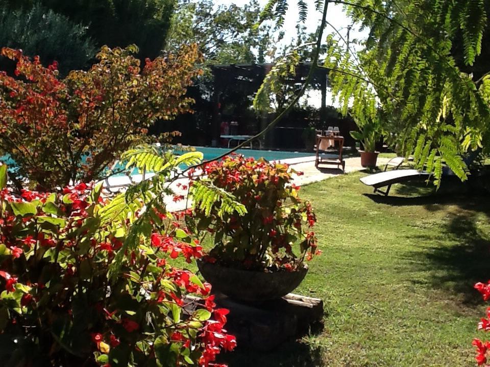 Villa Casa la Quiete Torgiano Exterior foto